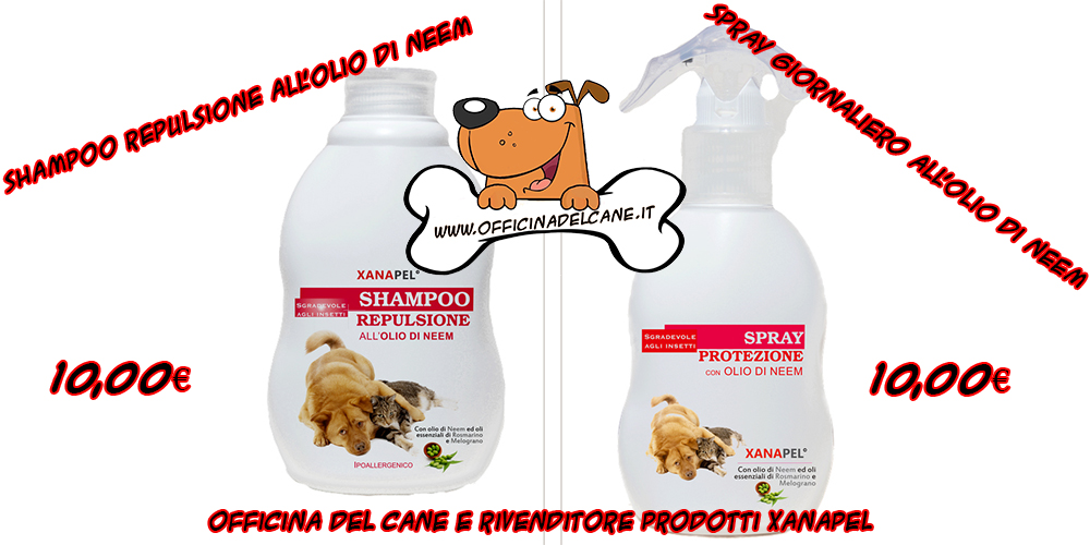 shop xanapel